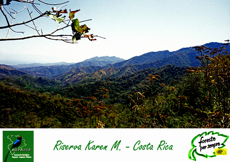 http://www.forestepersempre.org/web/Costarica/Images/Riserva_Karen.jpg