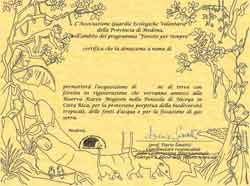 attestazione donazione