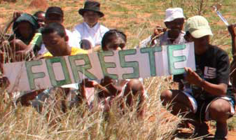 Foreste per Sempre