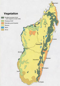 copertura vegetazione madagascar