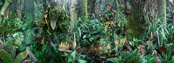 Diorama Foresta Tropicale
