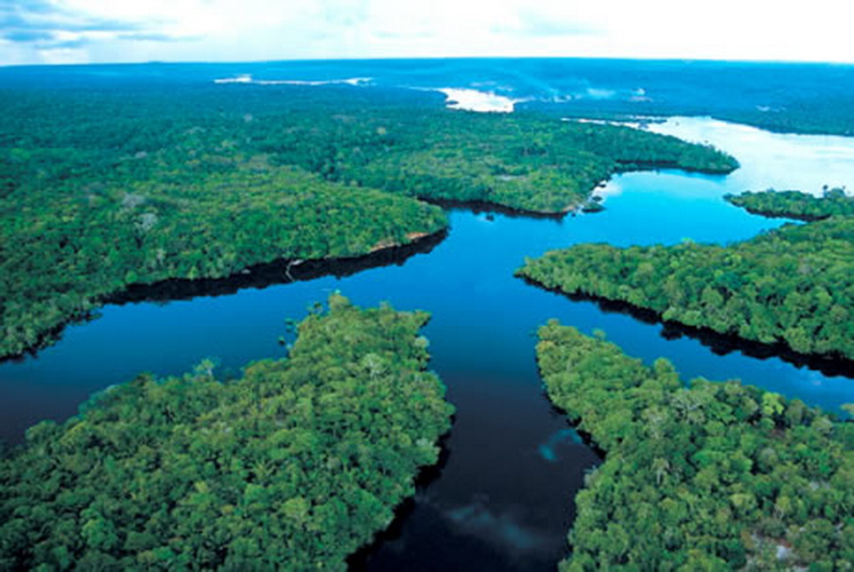 La foresta Amazzonica ed il Rio delle Amazzoni
