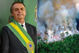 Amazzonia Bolsonaro