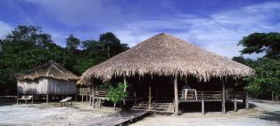 maloca