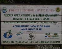 Anja Park
